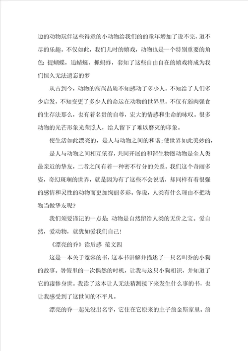 美丽的乔读后感美丽的乔读后感范文600字