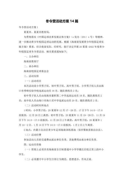 冬令营活动方案14篇.docx