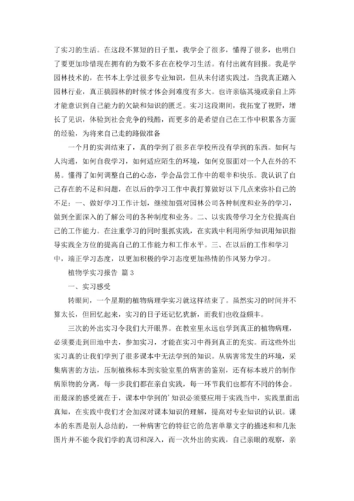 植物学实习报告范文8篇.docx