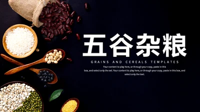 简约风五谷杂粮营销推广通用PPT模板