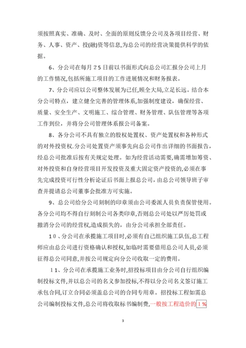 分公司管理制度.docx