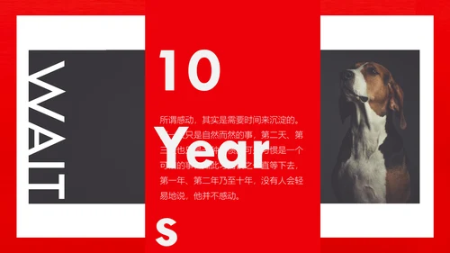 丑萌的小狗狗宠物通用PPT模板