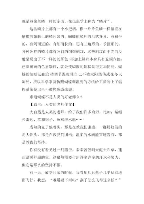 人类的老师作文300字.docx