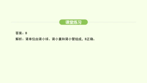 第四单元-第五章-人体内废物的排出课件-2024-2025学年七年级生物下学期人教版(2024)(共