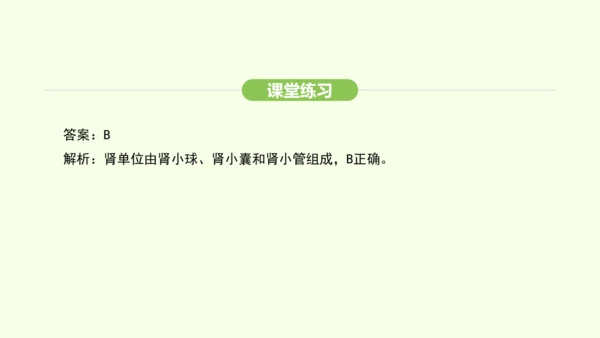 第四单元-第五章-人体内废物的排出课件-2024-2025学年七年级生物下学期人教版(2024)(共