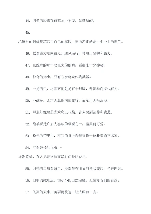 昆虫记泥峰好词好句