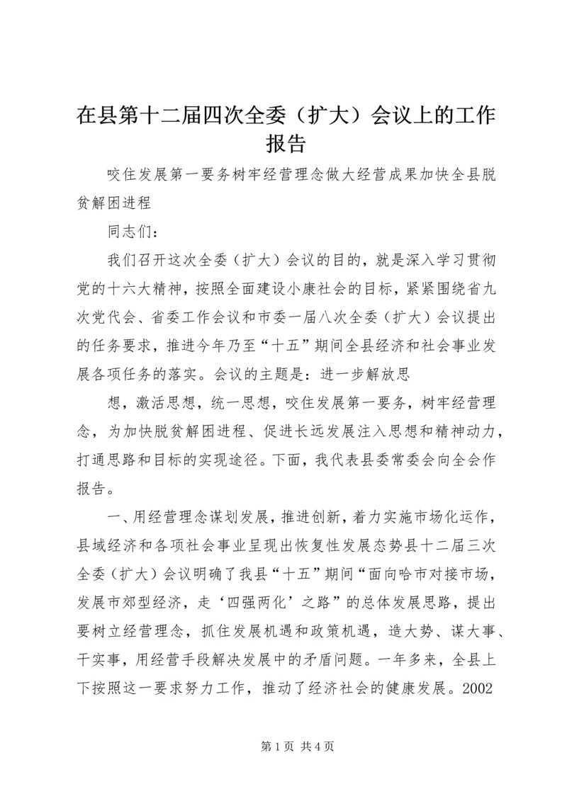 在县第十二届四次全委（扩大）会议上的工作报告 (4).docx