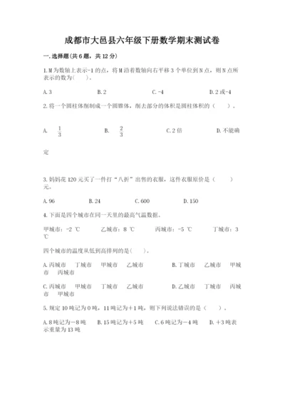 成都市大邑县六年级下册数学期末测试卷标准卷.docx