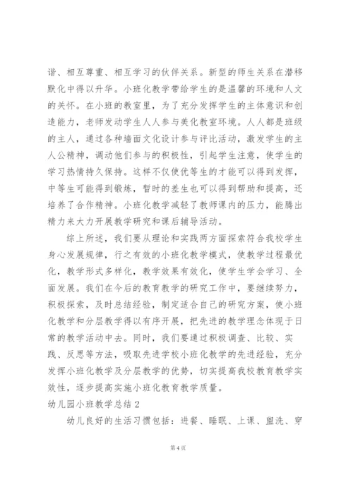 幼儿园小班教学总结(15篇).docx