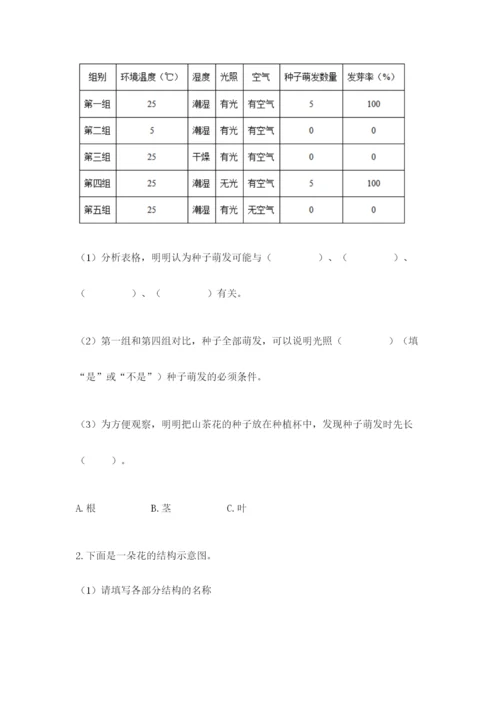 科学四年级下册第一单元植物的生长变化测试卷【夺冠系列】.docx