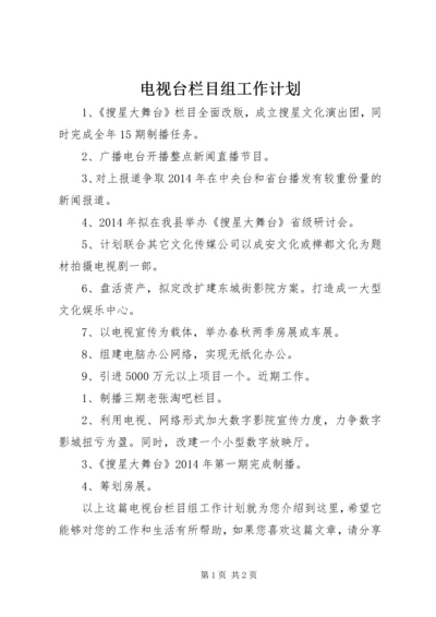 电视台栏目组工作计划.docx