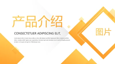 橙色时尚大气创意公司产品介绍宣传通用PPT