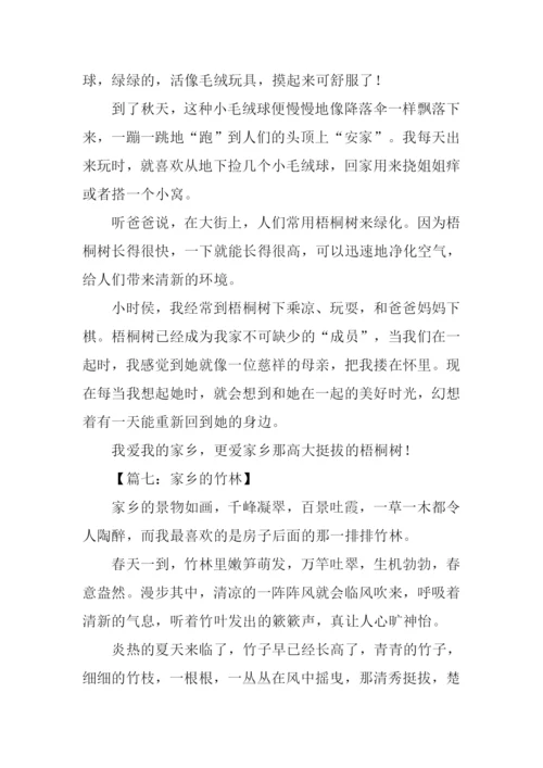 家乡的一处景物作文350字.docx