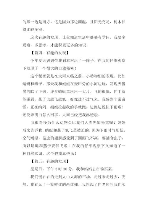 有趣的发现作文300字-1.docx