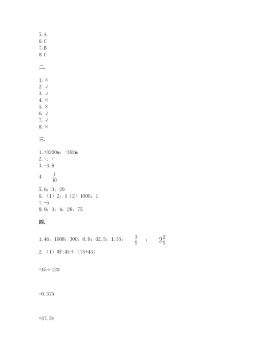 苏教版数学小升初模拟试卷含答案ab卷.docx