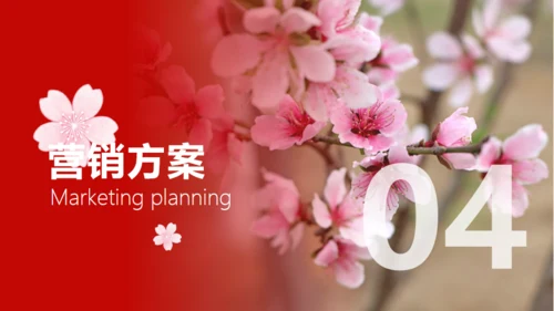 小镇桃花节策划方案通用PPT