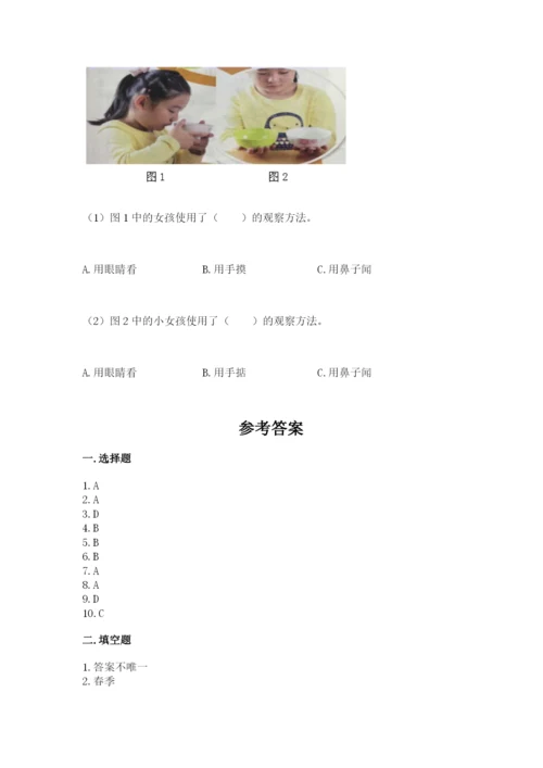 教科版二年级上册科学期末测试卷及参考答案.docx