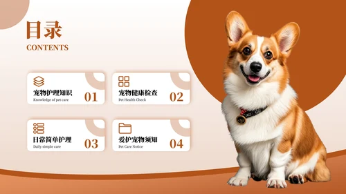 彩色简约风目录页PPT版式合集