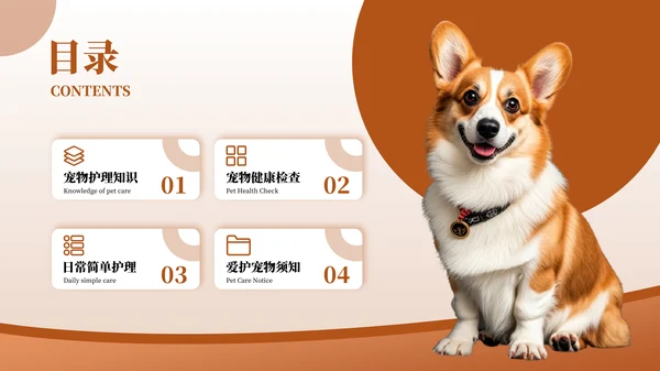 彩色简约风目录页PPT版式合集