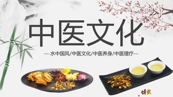 中国风古香古色中药中医文化中医养生ppt模板