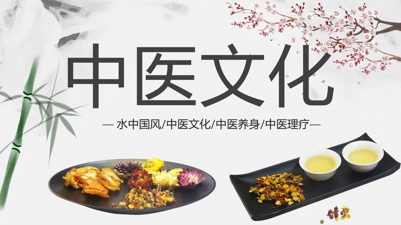 中国风古香古色中药中医文化中医养生ppt模板