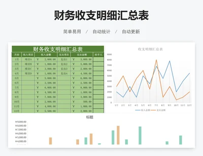 财务收支明细汇总表