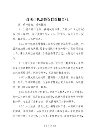 县统计执法检查自查报告(3).docx