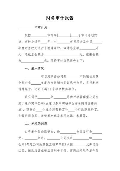 财务审计报告