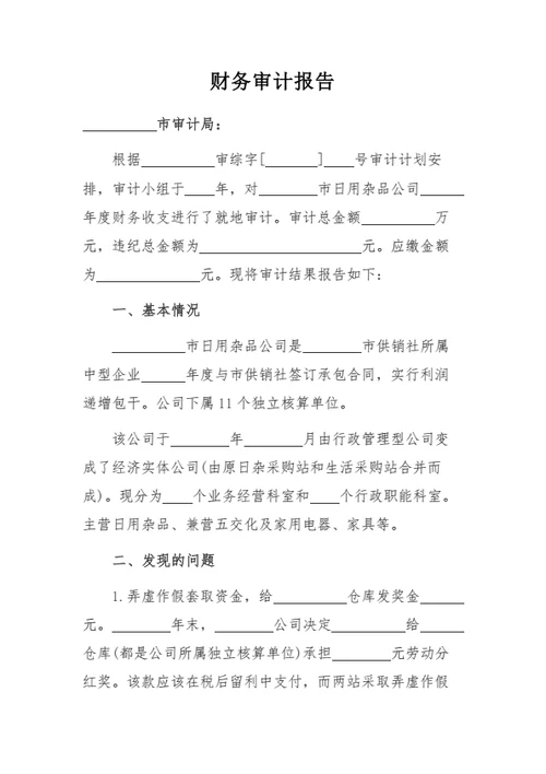 财务审计报告