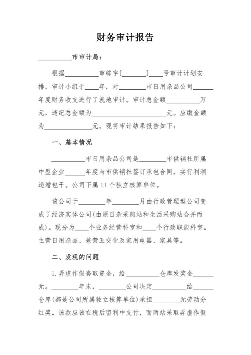 财务审计报告
