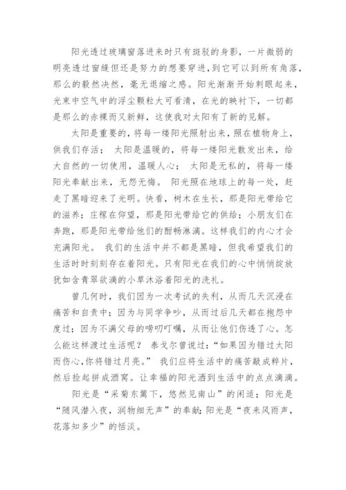 我心中的阳光作文800字.docx