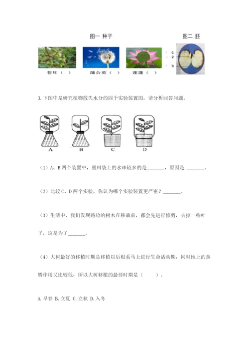 科学四年级下册第一单元《植物的生长变化》测试卷带答案.docx