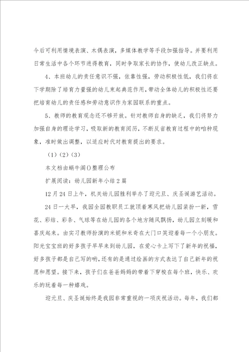 中班元旦活动小结2篇