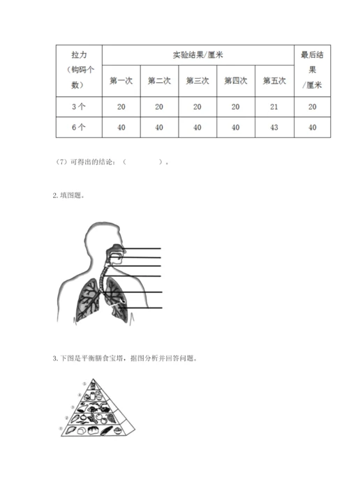 教科版四年级上册科学期末测试卷含答案【培优b卷】.docx