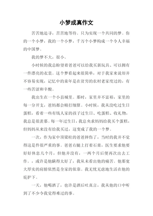小梦成真作文.docx