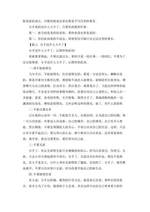 分手没什么大不了(5篇).docx