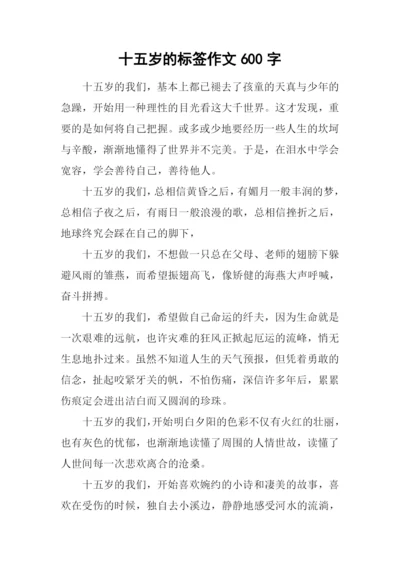 十五岁的标签作文600字.docx