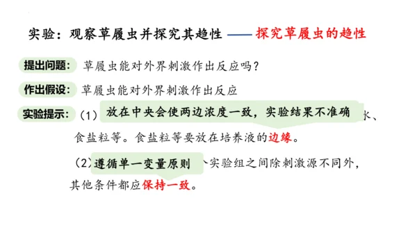 人教版七年级生物上册（2024）1.3.4 单细胞生物 课件(共22张PPT)+视频素材