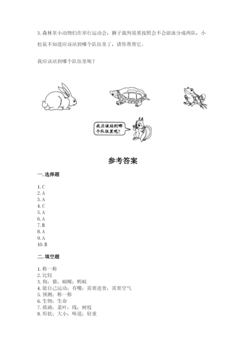 教科版一年级下册科学期末测试卷附答案下载.docx