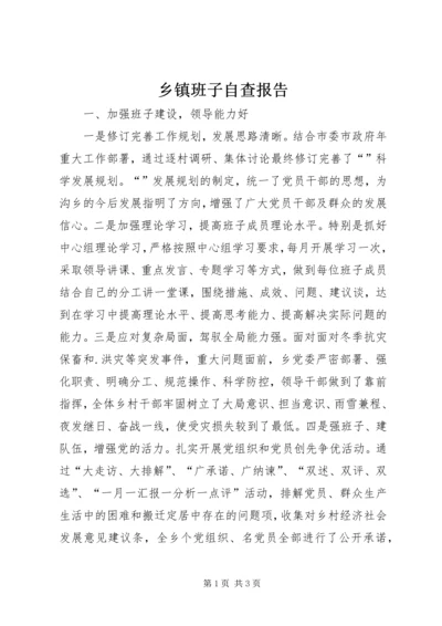 乡镇班子自查报告_1.docx