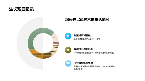 科学植树实践探索