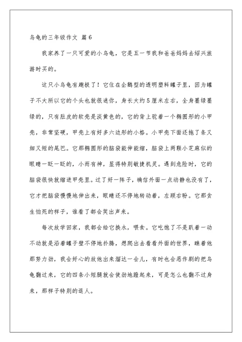 2022乌龟的三年级作文6篇