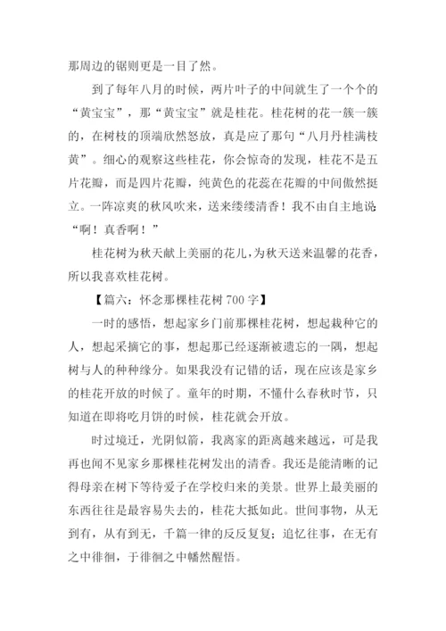描写桂花树的文章.docx