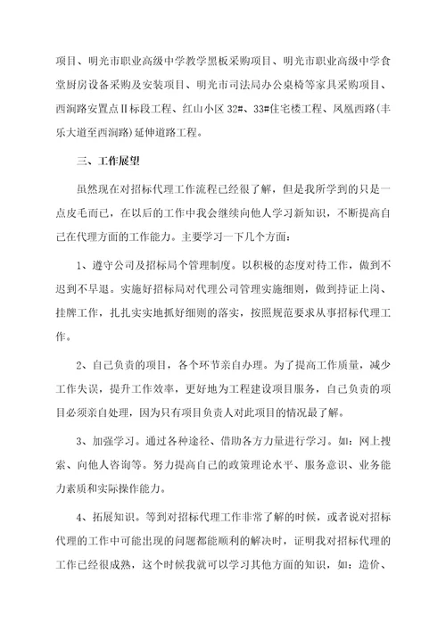 招标代理公司个人工作总结