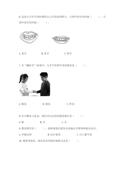 教科版小学科学二年级下册期末测试卷【word】.docx
