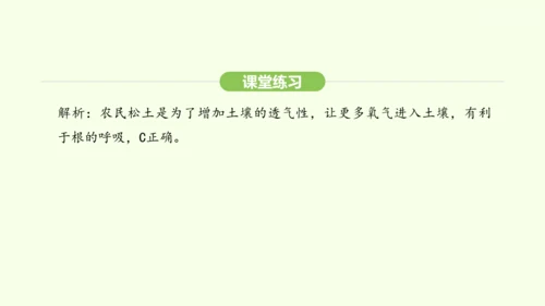 第三单元-第二章-第三节-呼吸作用课件-2024-2025学年七年级生物下学期人教版(2024)(共