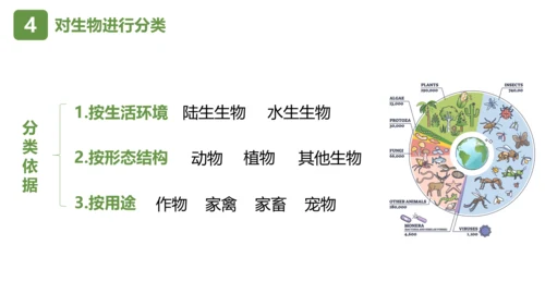 七上第一单元 生物和生物圈复习课件(共26张PPT)