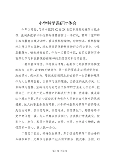 小学科学课研讨体会.docx
