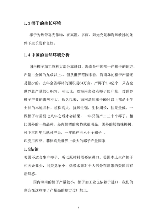 市场营销策划报告