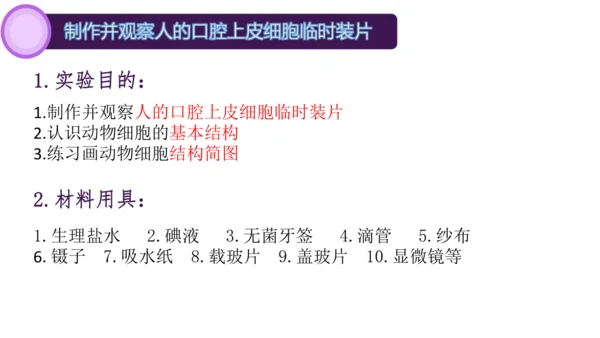 人教版（2024）七年级上册1.2.3动物细胞 课件(共27张PPT)